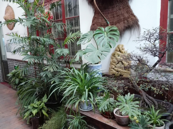 Others 3, HONG FU INN, Jining