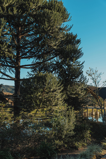 Property grounds 5, Montissi Resort Spa, Rancho Queimado