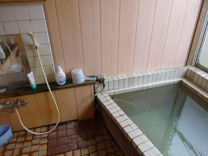 Bathroom 3, Fukushimakan, Hakone