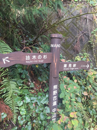 Others 5, Kumano Kodo Winery Guest House, Kyōtanabe