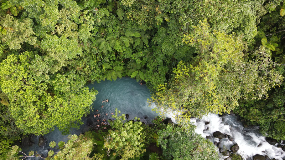 Others 5, Rio Celeste Nature View, Guatuso
