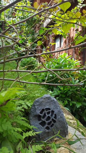 Others 4, Binglangbolong gu Inn, Hainan