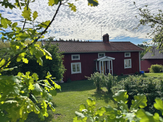 Primary image