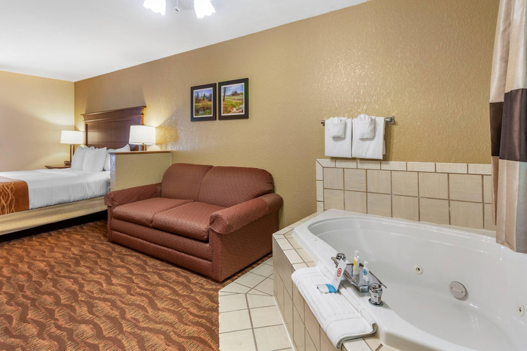 Bathroom 4, Comfort Inn & Suites Branson Meadows, Taney