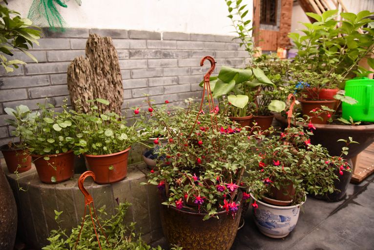Others 3, Easy·Xitang Humanity Inn, Jiaxing