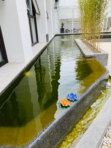 Sport & Beauty, Big House Hot Spring Courtyard Hotel, Xi'an
