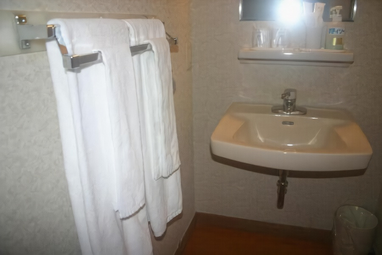 Bathroom 3, Apoi Sanso, Samani