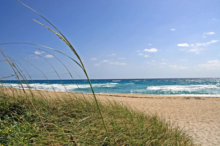 Exterior 5, 309s Palms Suite 1 Bedroom, Pools, Jacuzzi, Beach, Shops & Dog Friendly, Palm Beach