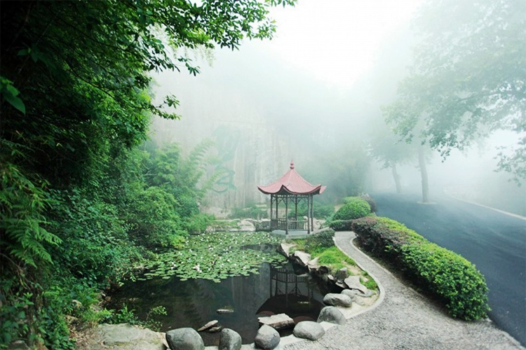 Others 4, Mogan Mountain Style B and B, Huzhou