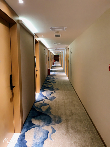 Others 2, Shenzhen Futian Convention and Exhibition Center LansHotel, Shenzhen