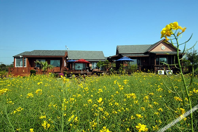Others 4, Jeju Halim Ebbnsae Ebbuege Noraehago, Jeju