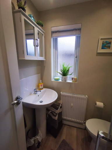 Bathroom 5, BR Modern Botanic House, Belfast
