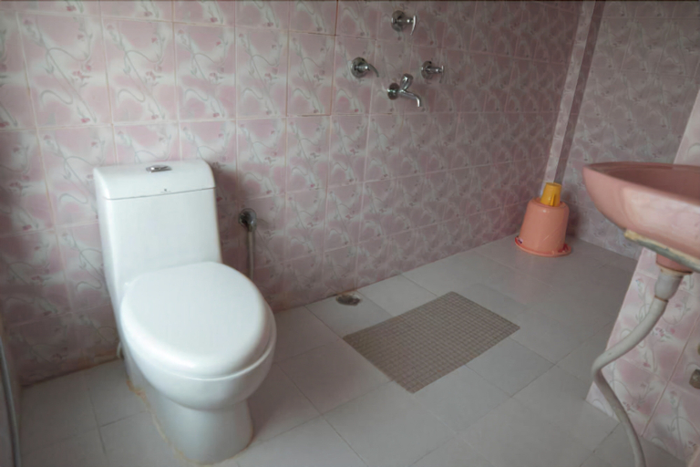 Bathroom 3, Hotel Gangotri, Narayani