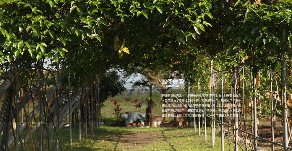 Others 5, Countryside B&B, Hualien