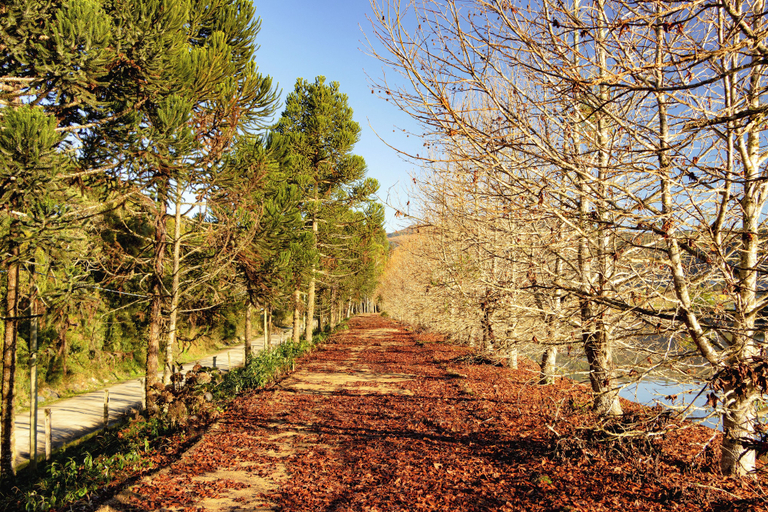 Garden 2, Montissi Resort Spa, Rancho Queimado
