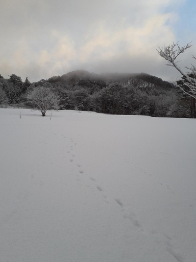 Others 5, Tanehachi Farm Guesthouse - Vacation STAY 29709v, Hiranai
