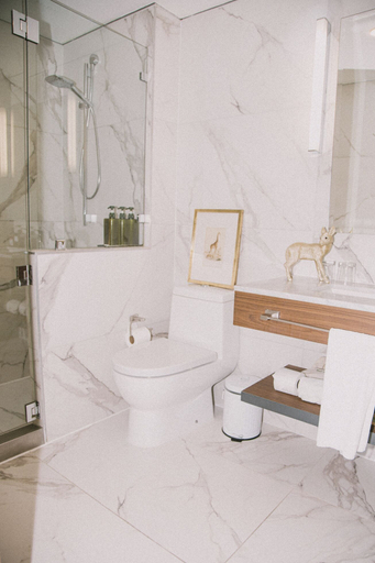 Bathroom 5, Hotel Bidasoa, Santiago