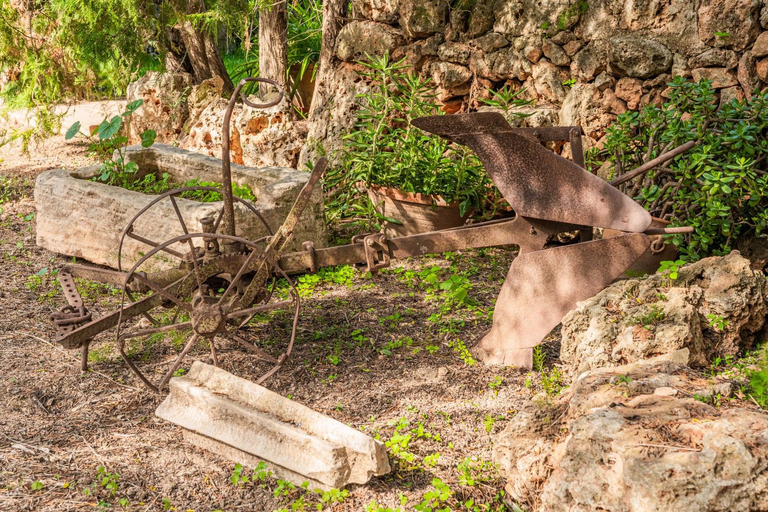 Others 3, Finca can Miquel des Revellar, Baleares