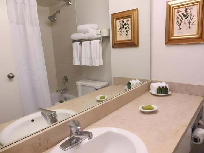 Bathroom 4, Toronto Don Valley Hotel and Suites, Toronto