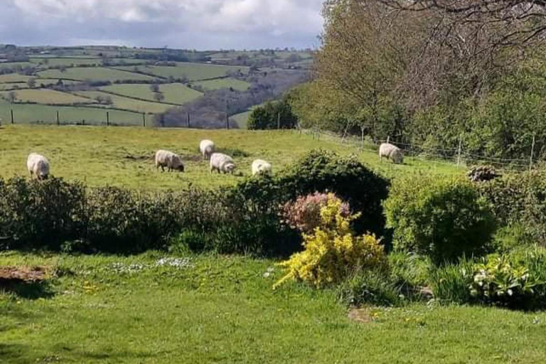 Others 4, 1 Bed Lodge-Sleeps 4-Pet Friendly-Free Parking, Herefordshire