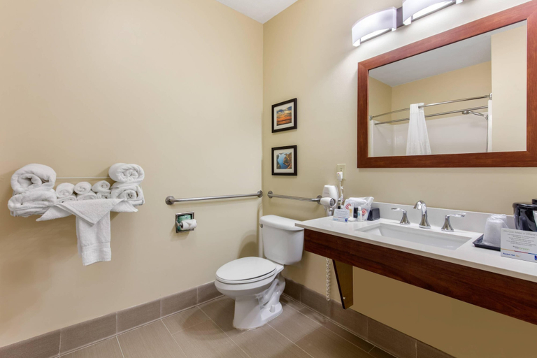 Bathroom 4, Comfort Inn & Suites McComb, Pike
