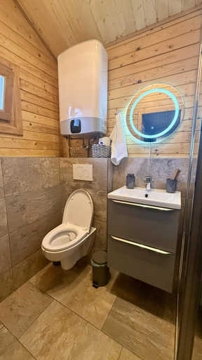 Bathroom 2, Elysium House, Mehadia