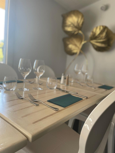 Food & Drinks 5, Hotel Cote Sud Leman, Haute-Savoie