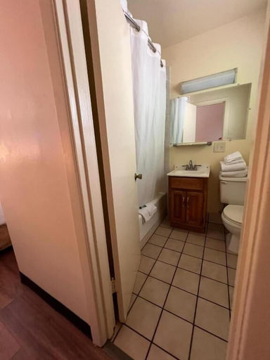 Bathroom 5, Riverside Motel, Clark