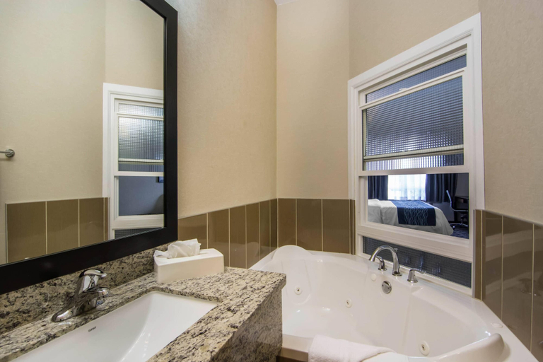 Bathroom 5, Comfort Inn & Suites, Division No. 11