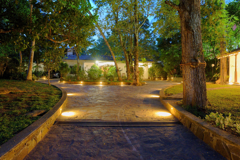 Exterior & Views 3, Ceylon Olive, Akmeemana