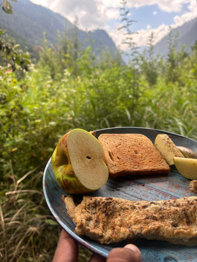 Food & Drinks 5, Woodstock Villa HomestayTulga PRIVATE BalconyRoom , Kullu