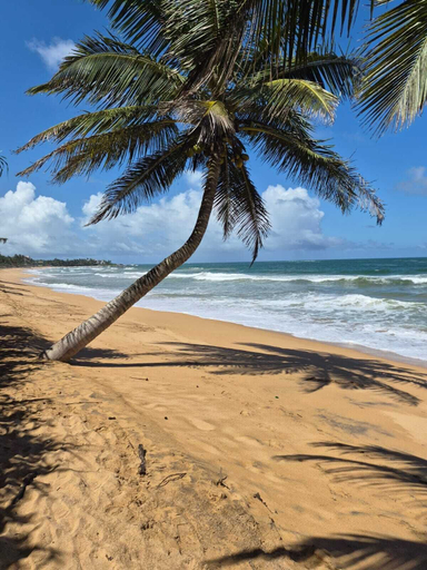 Beach 3, NATIVE SOULS Beach Hotel, Bentota