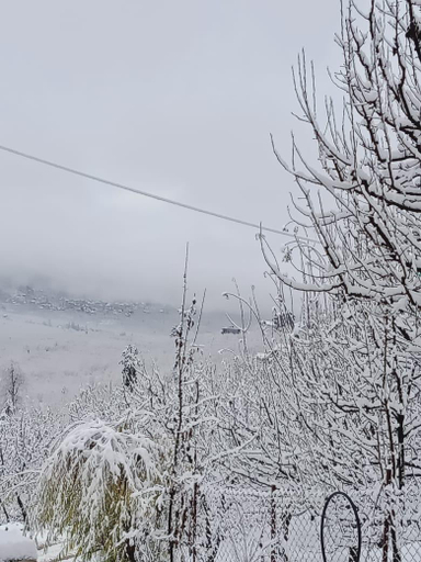 Others 5, Lotus Inn River View, Kullu