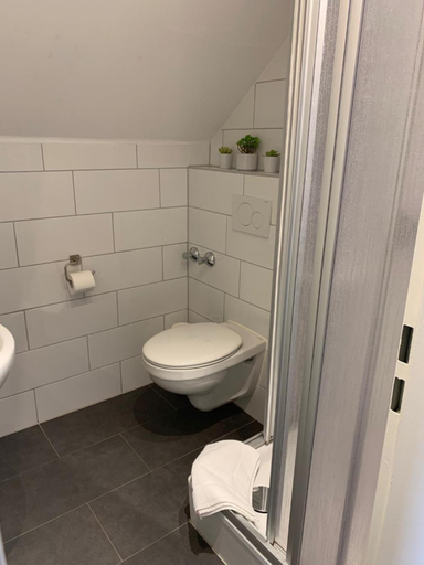 Bathroom 5, Hotel Adler, Hochtaunuskreis