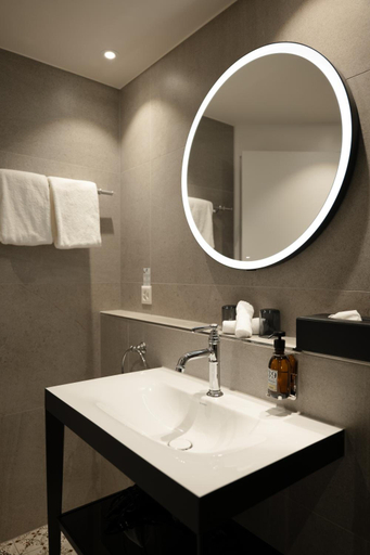 Bathroom 4, Des Alpes, Luzern