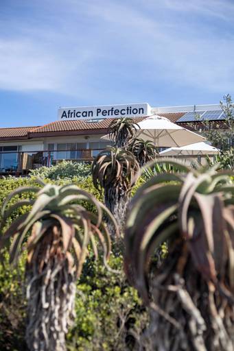 Exterior detail, African Perfection 2, Cacadu
