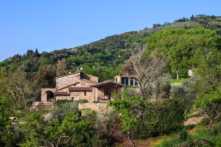 Exterior view 3, Poggio Diavolino - Suvereto, Livorno