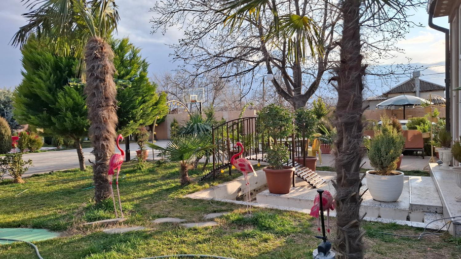 Others 5, Green Land, Gardabani