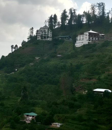Others 5, TETHYS HIMALAYA NARKANDA, Shimla