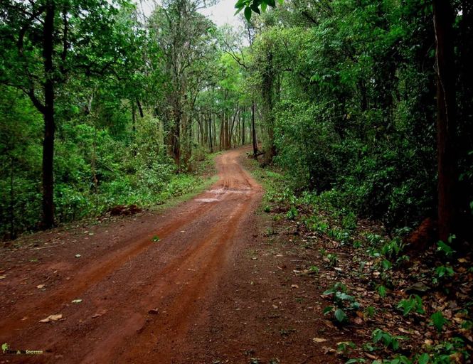 Others 3, Similipal Resort, Mayurbhanj
