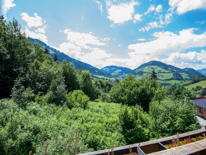 Surrounding environment 1, Exclusive Alpine chalet in Niederau, Kitzbühel