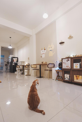 Food & Drinks 3, Ri Yue Homestay, Taitung