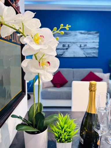 Food & Drinks 4, Nice apartment in the historic center, Verbano-Cusio-Ossola