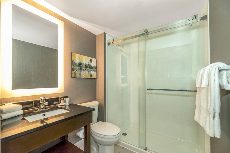 Bathroom 5, Comfort Inn Winnipeg Airport, Division No. 11