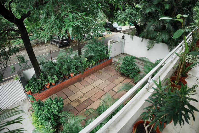 Garden 5, A mango tree stay, Bhopal