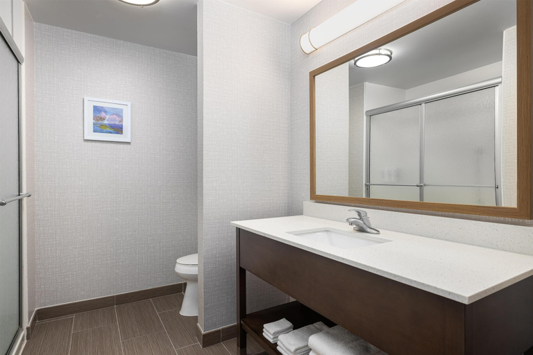 Bathroom 4, Hampton Inn Kenedy, Karnes