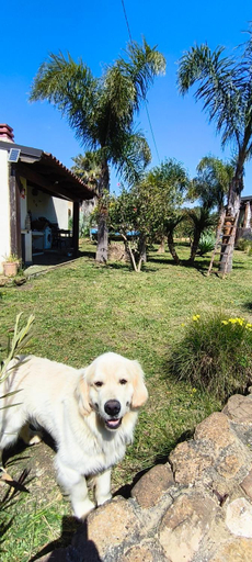 Others 4, B&B Della Via Francigena, Agrigento