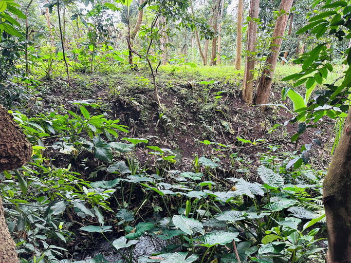 Others 4, Ilboru Haven Homes, Arusha