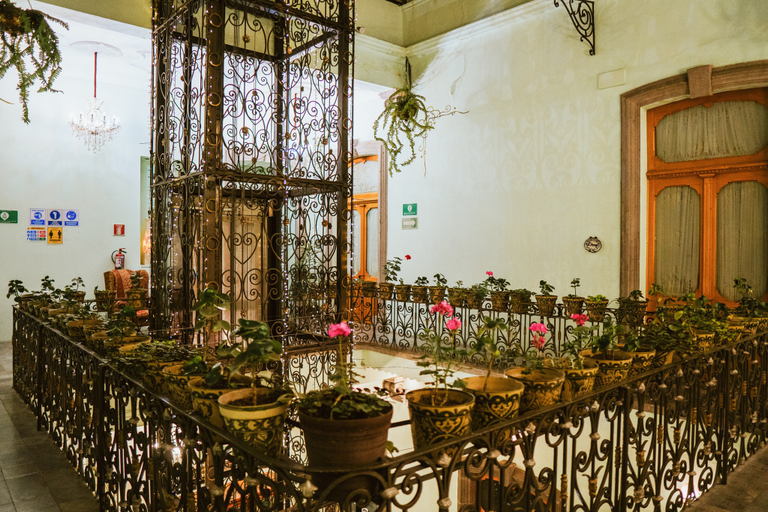 Food & Drinks 5, HOTEL PUEBLA DE ANTAÑO, San Andrés Cholula