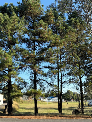 Miscellaneous 2, Five Mile Motel, Clarence Valley- Grafton